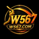 W567 APK main Logo