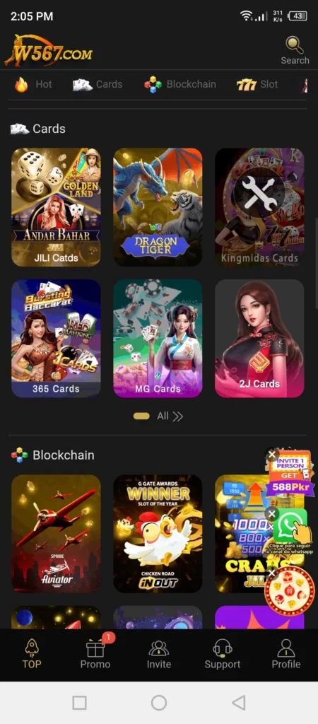 W567 Game Options