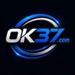 Modern blue and silver OK37 logo featuring a sleek shield emblem with a stylized number 37 and dynamic speed lines, symbolizing strength, reliability, and fast-paced digital entertainment.